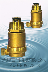 首阀铜排气阀